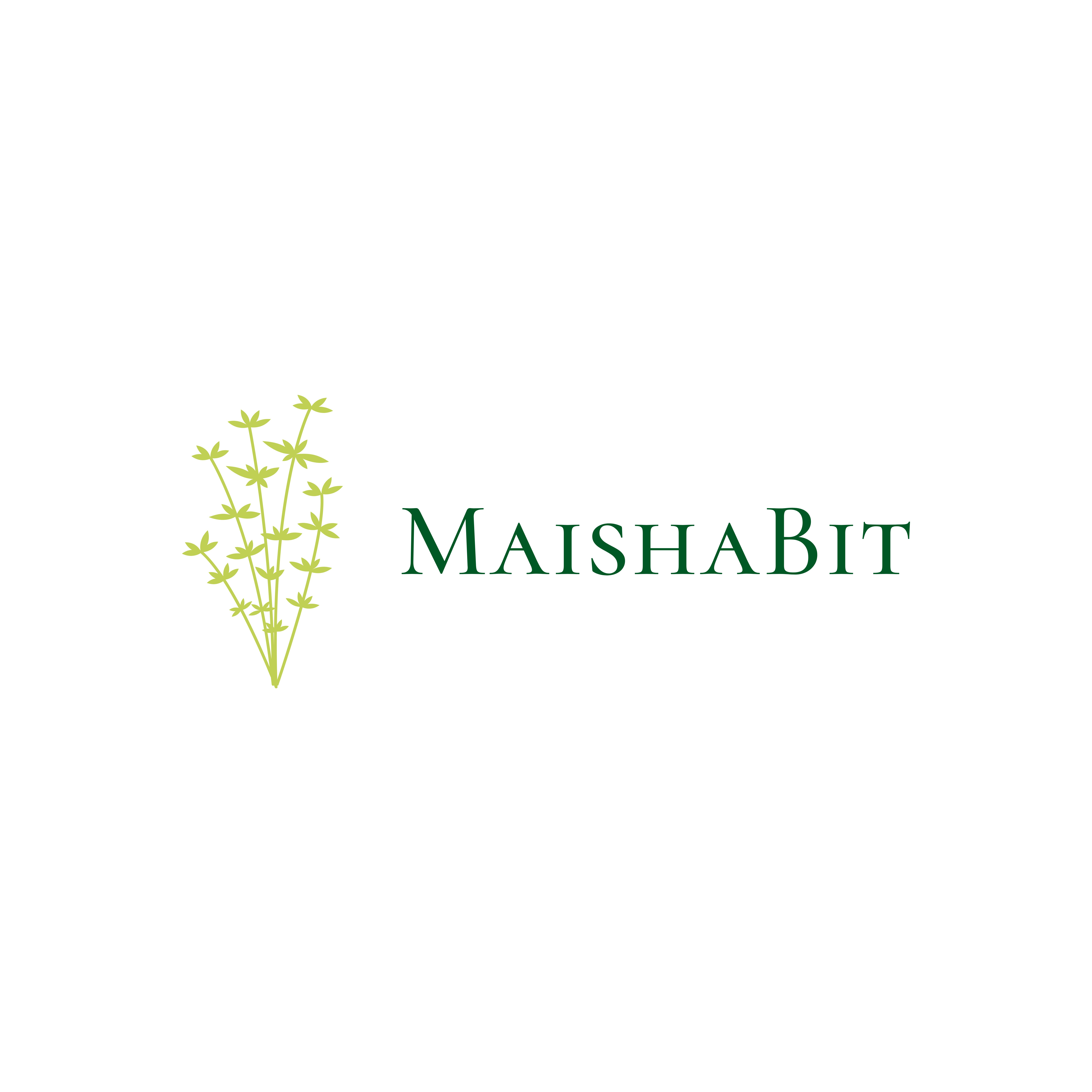 MaishaBit_New_Logo